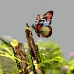 Exploring the Cutting Edge of Courtroom Technologies