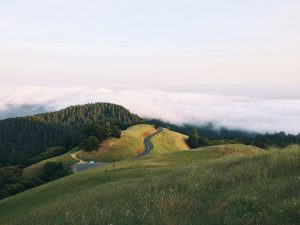 The Evolving Landscape of Technological Legal Practices