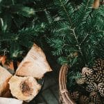 The Holistic Approach to Career Resilience and Adaptability