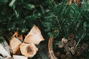 The Holistic Approach to Career Resilience and Adaptability