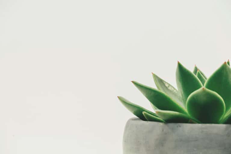 Minimalist Secrets: How to Couture in Style