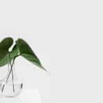 Neurodiversity in Home Design: Creating Inclusive Residential Environments