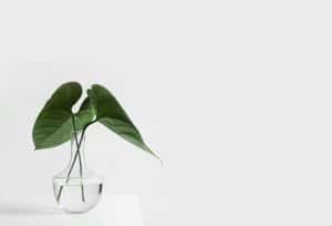Neurodiversity in Home Design: Creating Inclusive Residential Environments