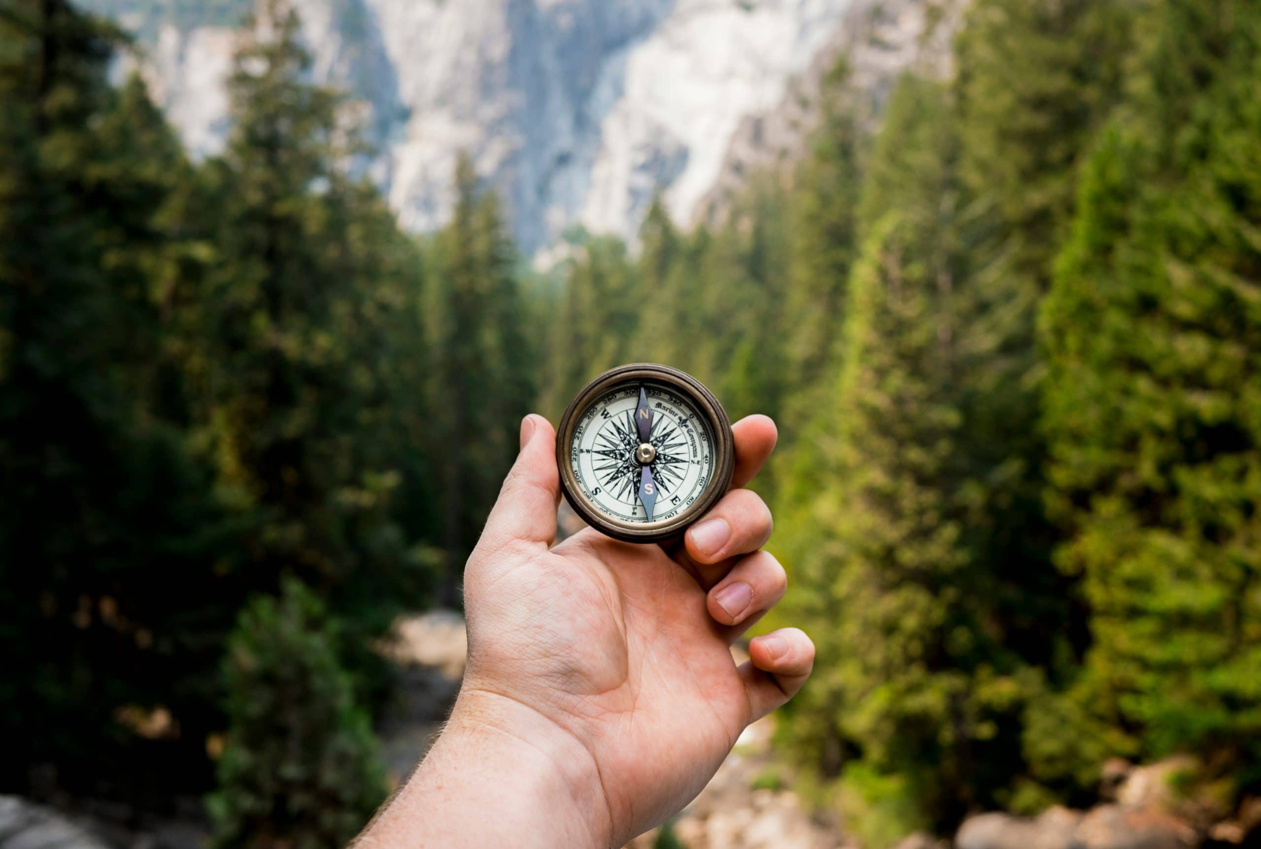The Comprehensive Guide to Eco-Friendly Travel Strategies