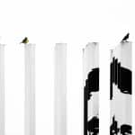 Transforming Drones for Environmental and Industrial Applications