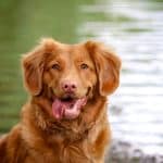 Redefining Innovative Devices for Intelligent User Interactions