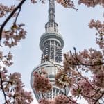 The Ultimate Insider's Guide to Luxury Expedition Travel