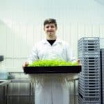 Quantum Lifestyle Engineering: Transforming Homes into Living Ecosystems