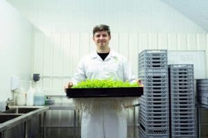 Quantum Lifestyle Engineering: Transforming Homes into Living Ecosystems