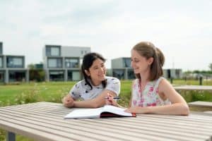 Why Emotional Resilience Matters in Educational Success