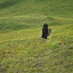 Why Transportation Technologies Are Crucial for Global Development