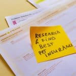 The Innovative Mindset for Continuous Professional Transformation