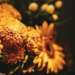 The Ultimate Insider's Guide to Sustainable Luxury Experiences