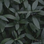 Breakthrough Strategies for Neurodivergent Travelers' Seamless Experiences