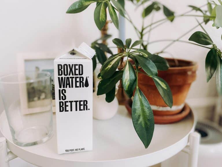 Sustainability Crafting Expressions Through Cultural Perspectives