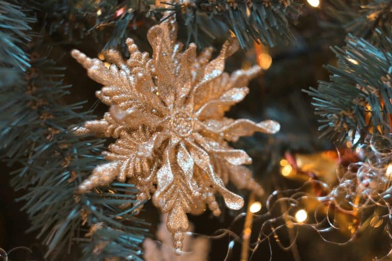 Expanding Virtual Reality Experiences Beyond Traditional Boundaries