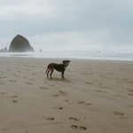 The Comprehensive Guide to Zero-Waste International Travel Techniques