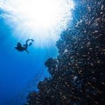 The Ultimate Guide to Understanding Transportation's Complex Ecosystem