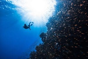 The Ultimate Guide to Understanding Transportation's Complex Ecosystem
