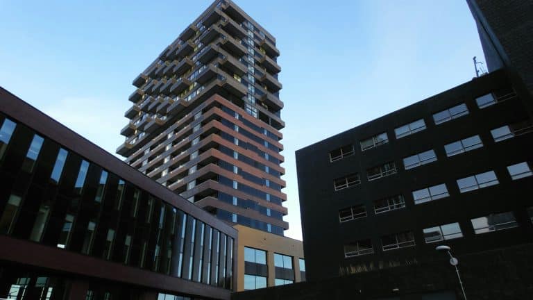 Cultural Fusion Housing: Designing Spaces That Celebrate Diversity