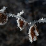 The Comprehensive Strategy for Educational Transformation