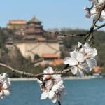 Adaptive Housing Technologies: Designing for Changing Human Needs