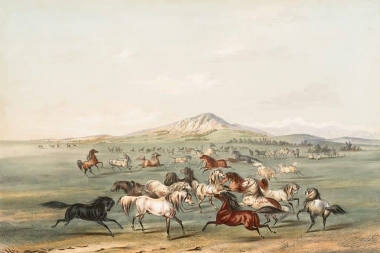 Mastering the Art of Language Immersion Through Travel