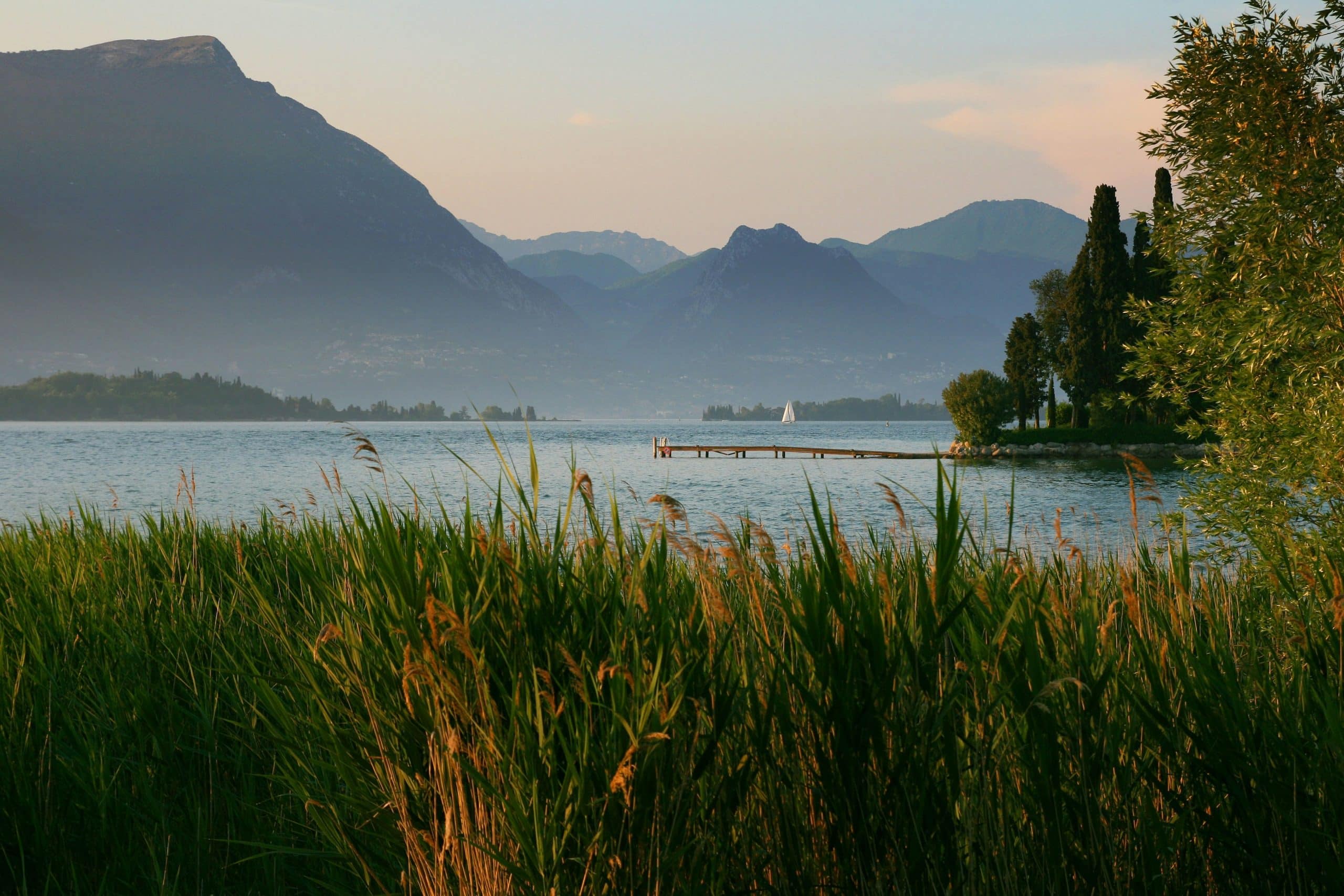 Navigating the Complex Landscape of International Travel Insurance